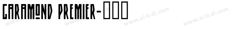 Garamond Premier字体转换